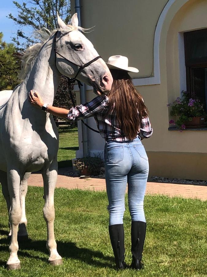 Apartmanove Ubytovanie Pod Dubom Polny Kesov المظهر الخارجي الصورة